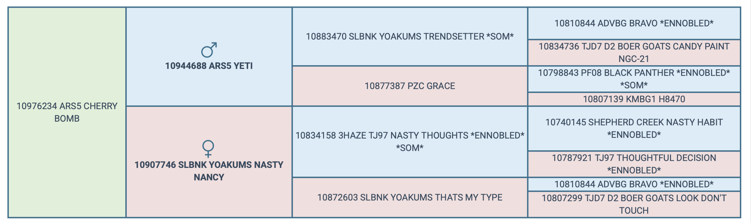 Screenshot 2025-04-19 at 2.12.12 PM